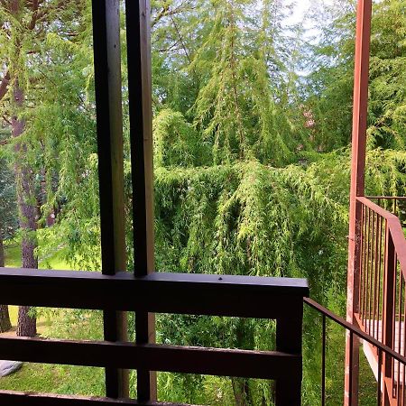 Green Apartment Albavilla エクステリア 写真